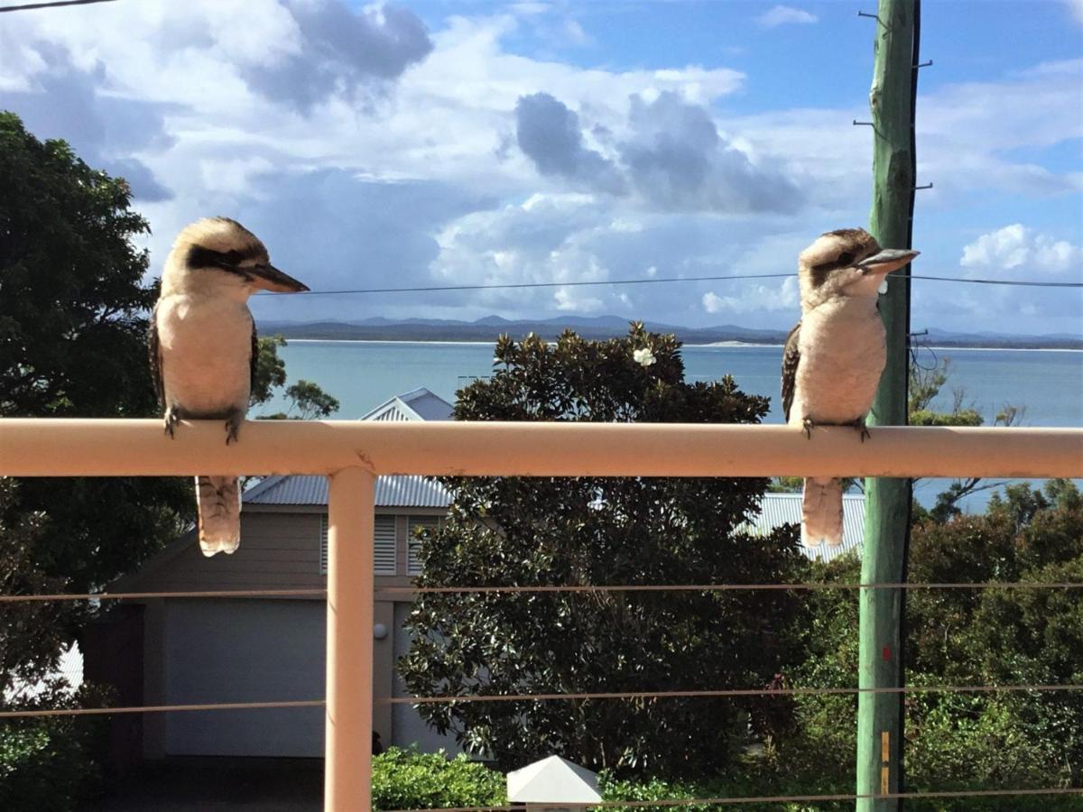 Dutchie'S Sand & Sea Beach House - Easy Walk To The Beach Nelson Bay Esterno foto